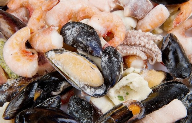 Modern seaweed processing and packaging manufacturing facility